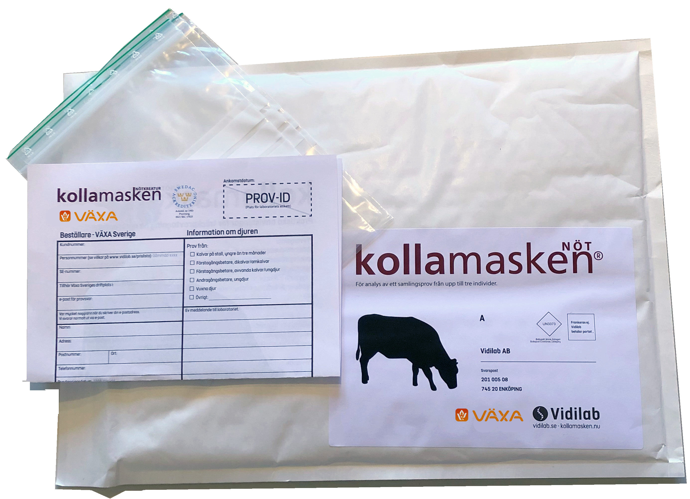 2025 Kollamasken Not Provtagning Transparant