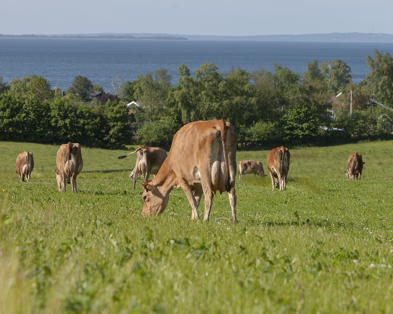 Karensminde 2021 06 (15) Ret