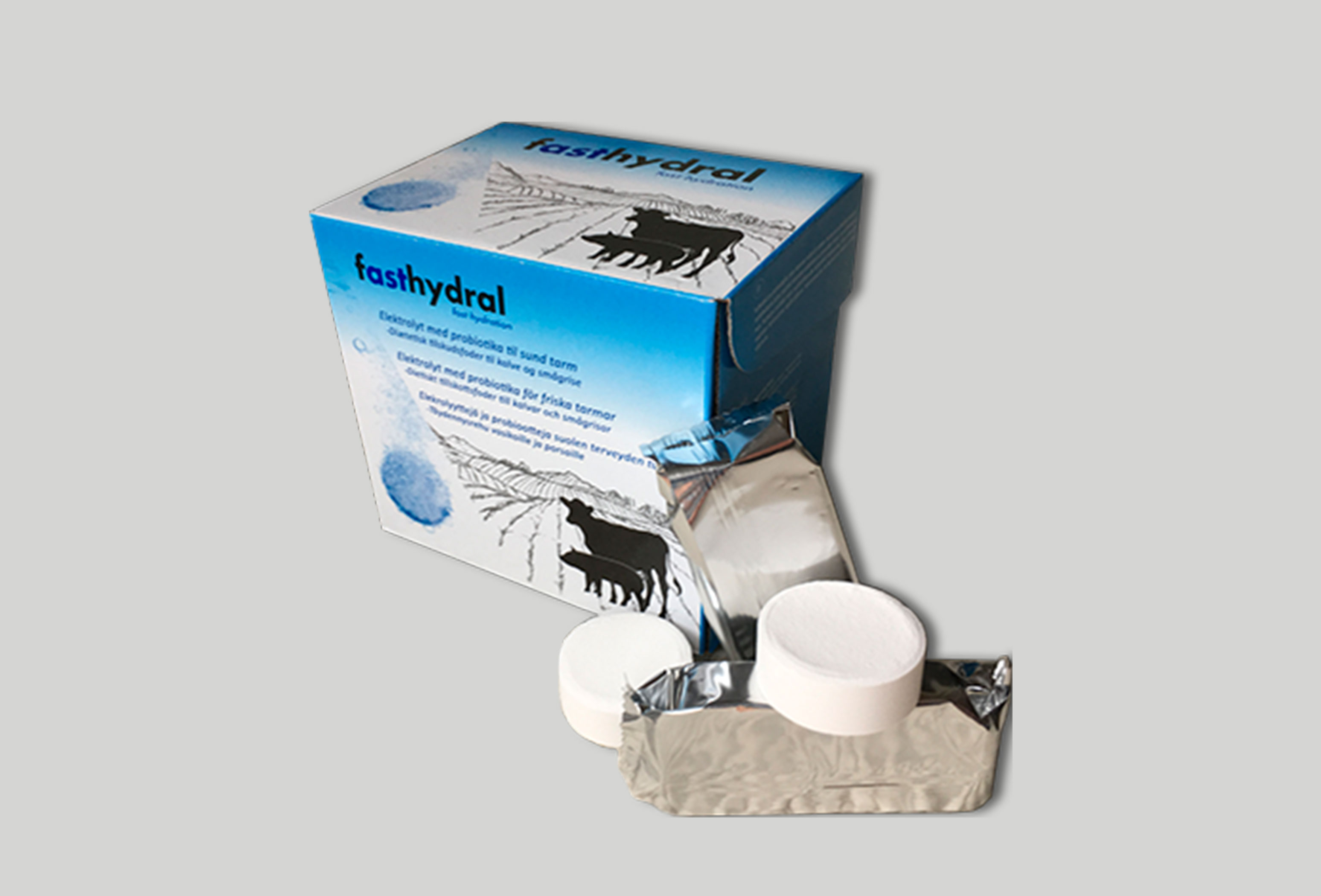 101146 Fasthydral Elektrolyt Web